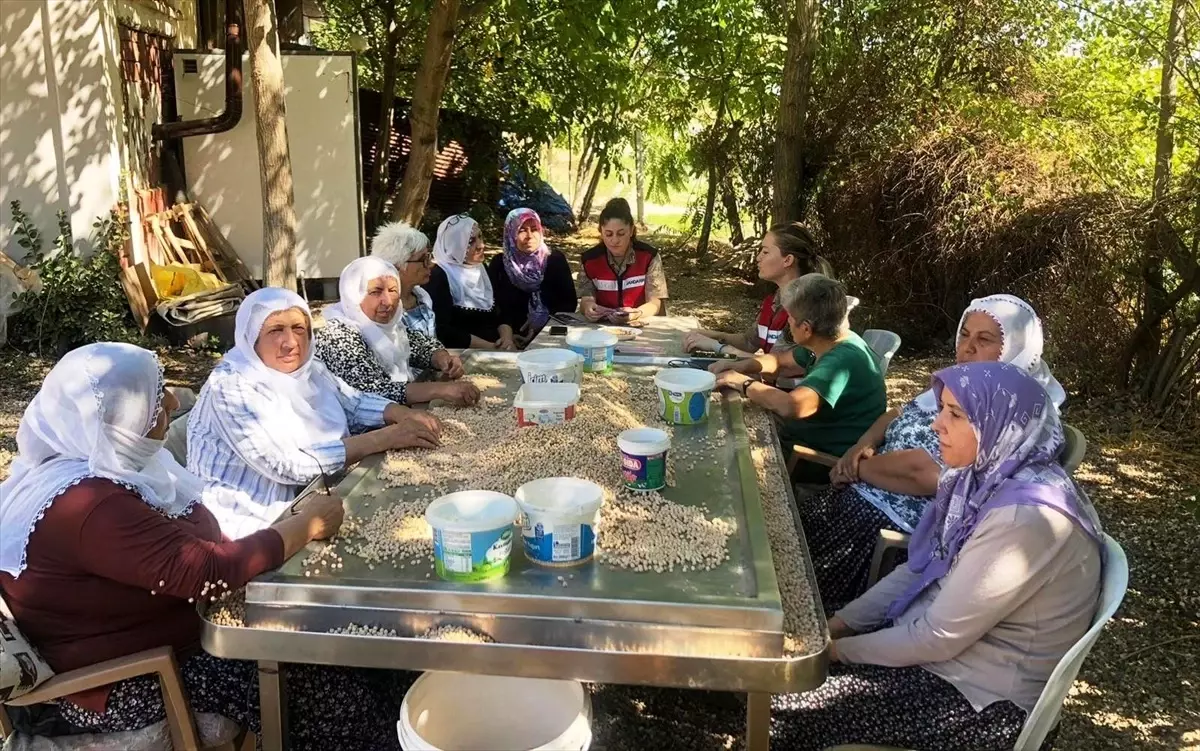 Kadına Yönelik Şiddetle Mücadele Bilgilendirmesi