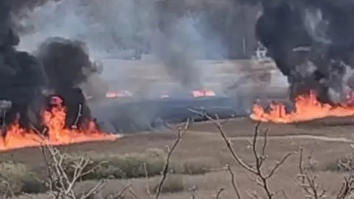 Sakarya’daki yangın Kocaeli’ye sıçradı! Alevler kontrol altına alındı: 12 hektar alan zarar gördü